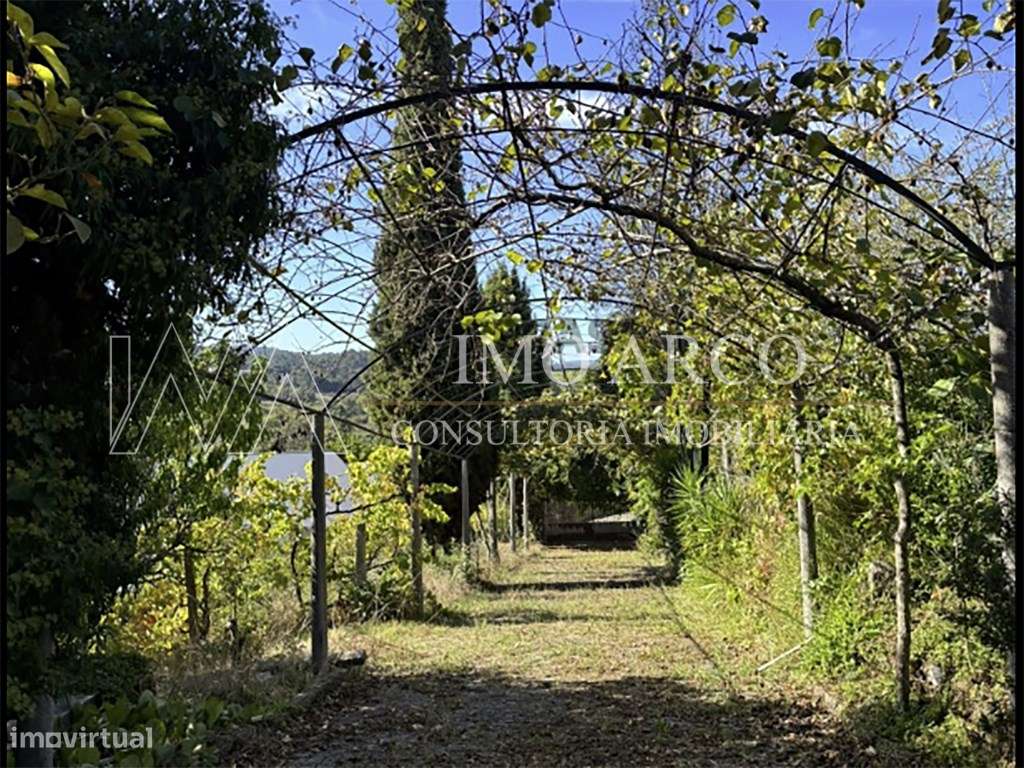 Quinta, com Moradia, Piscina e Adega-26