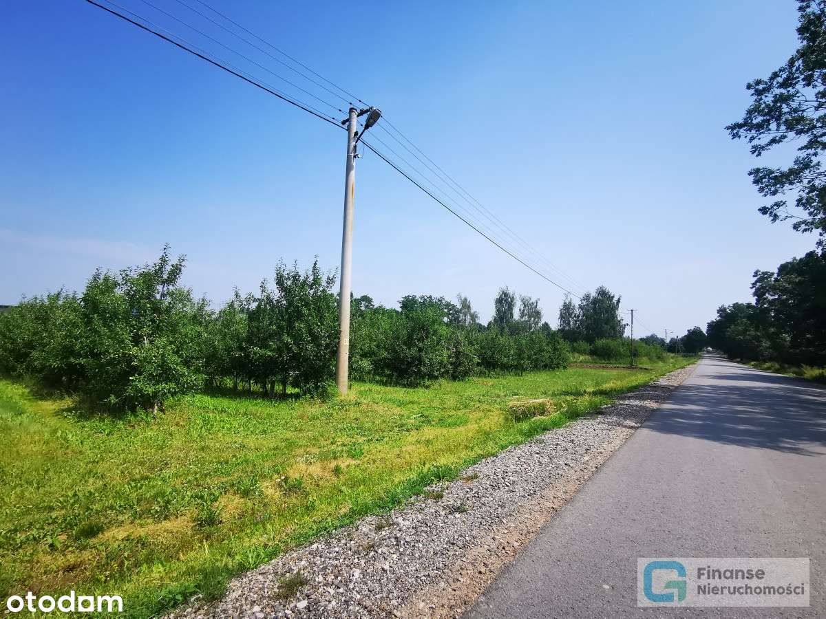 Działki rolno-budowlane w Dańkowie/ Biała Rawska - Pełny obrazek: 5/11