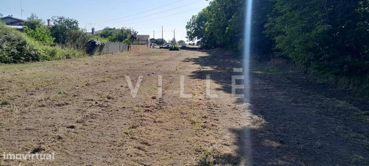 Terreno para Construção – Mamarrosa (Oliveira do Bairro) - Grande imagem: 5/5