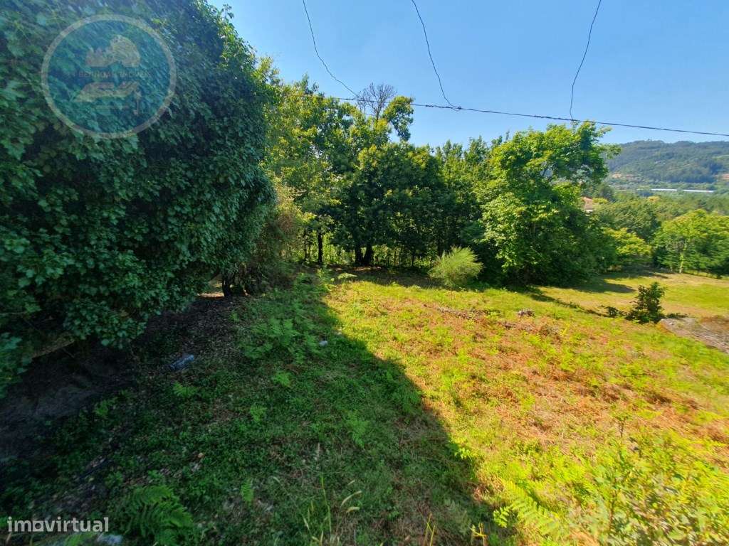 Quinta à venda para restauro em Arroteia freguesia de Rossas-36