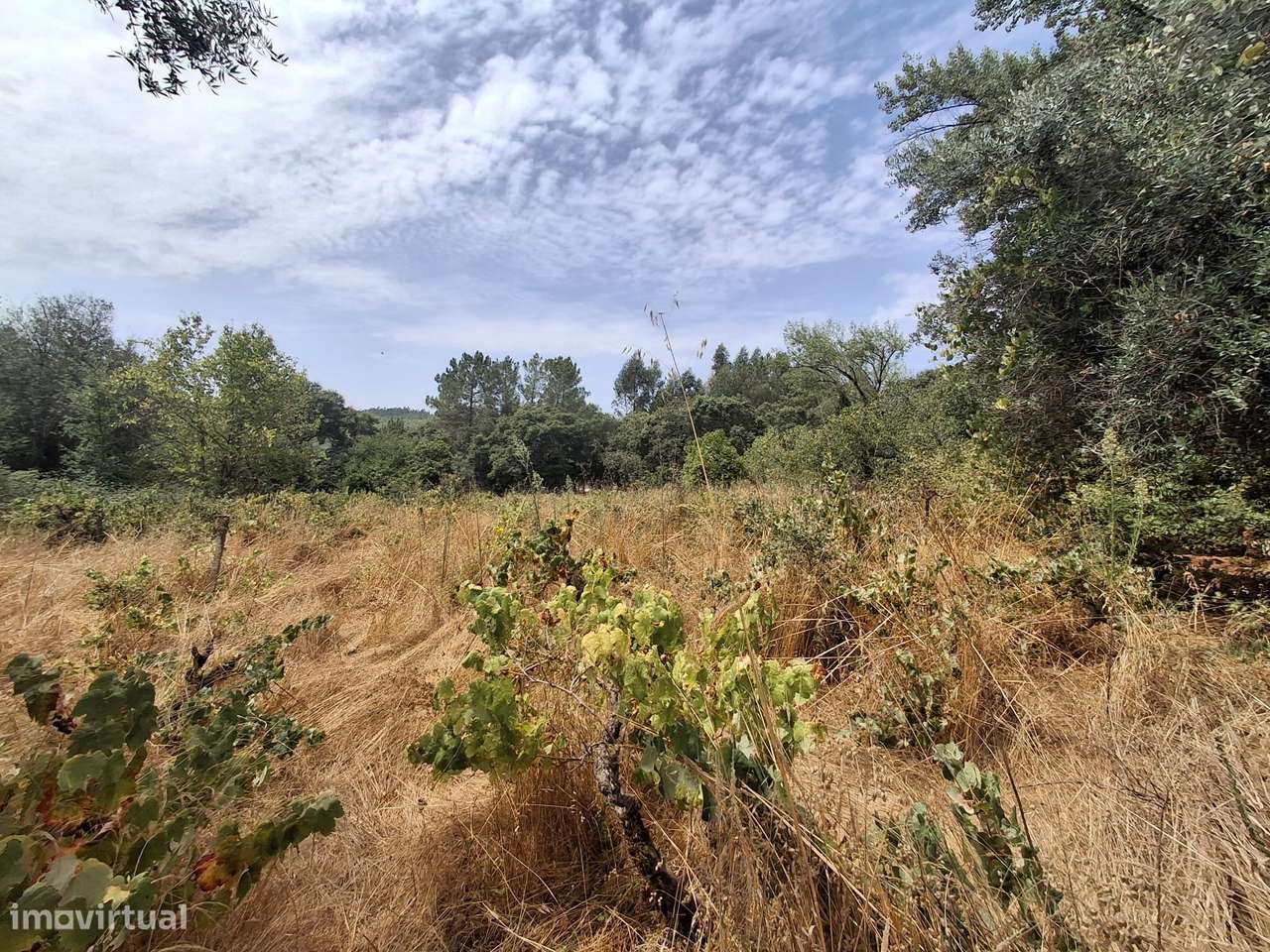 Terreno rústico em Pussos São Pedro, 4880 m² - Grande imagem: 2/16