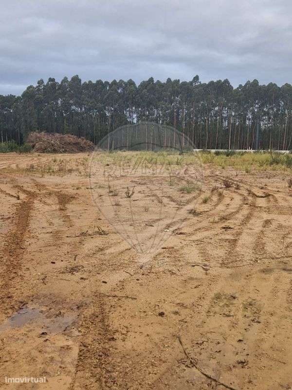 Industrial  para venda - Grande imagem: 2/10