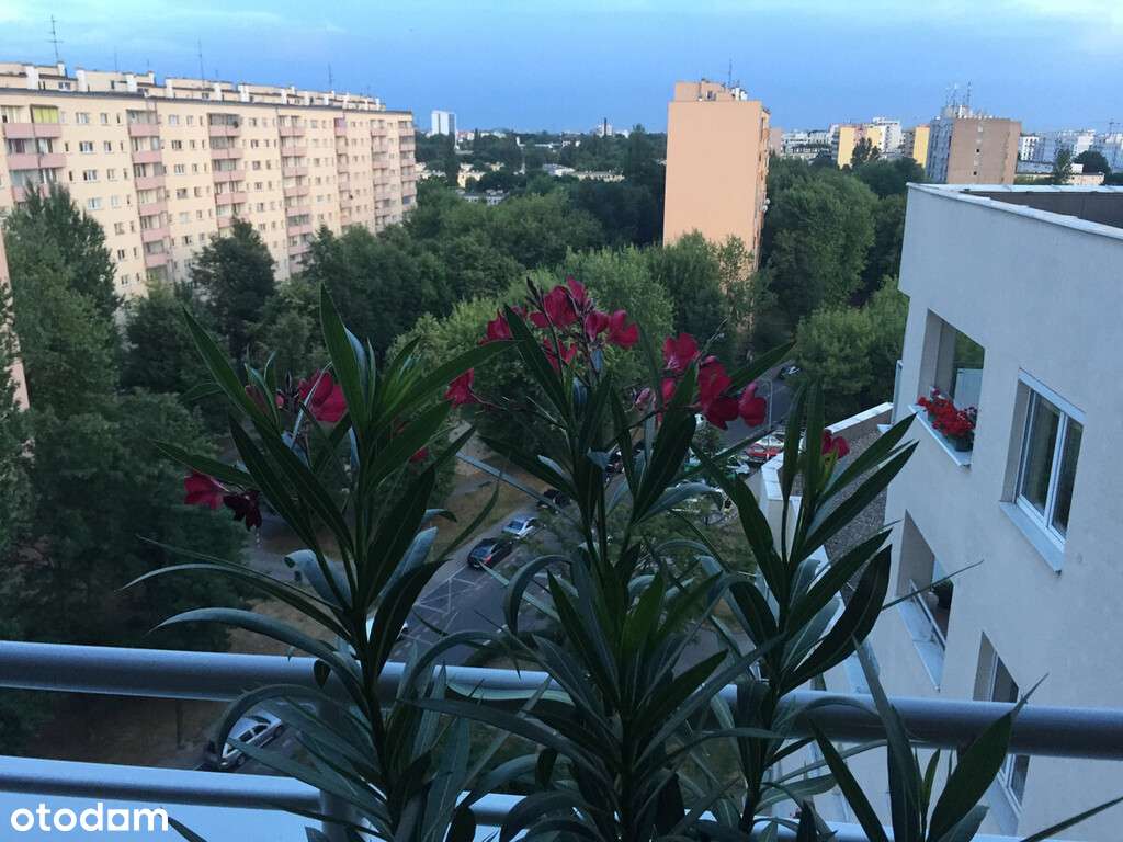 3 pokoje dla rodziny na Woli ! - Więcej