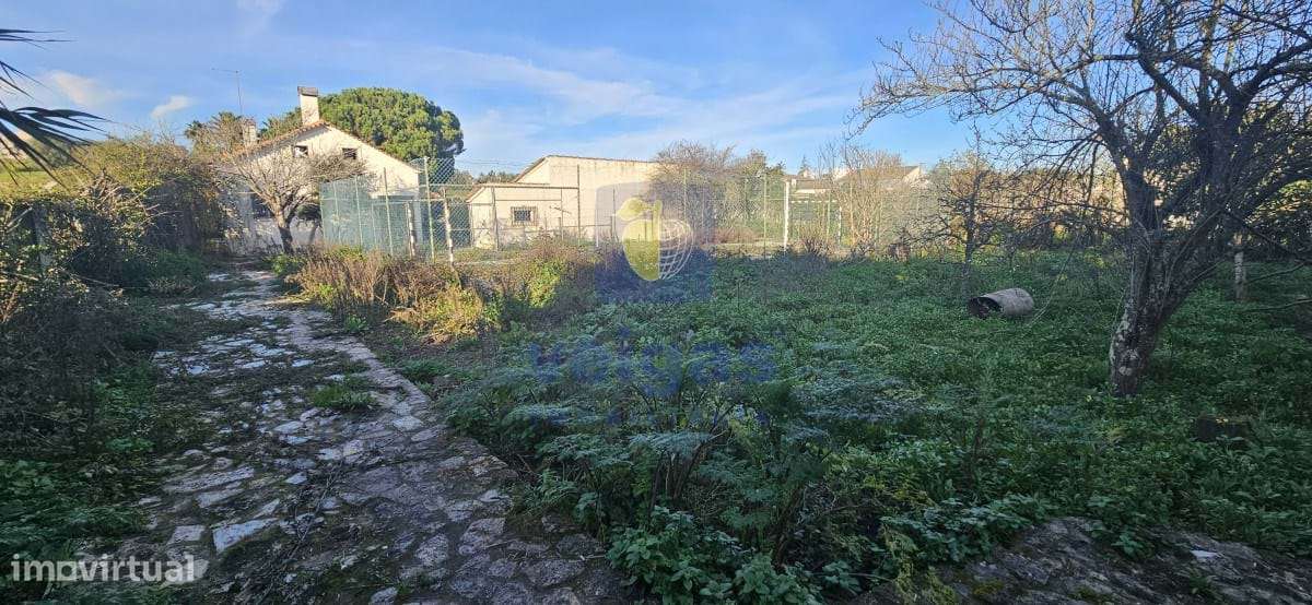 Moradia T3 Cartaxo-13