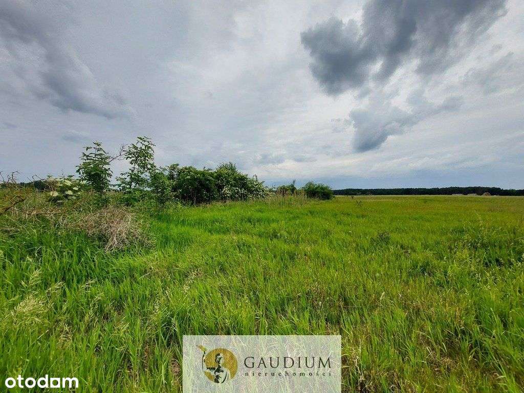 Turystyka nad brzegiem rzeki Obry-11