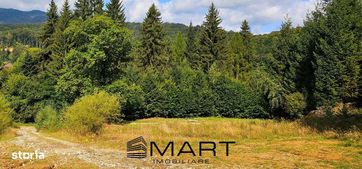 Teren 550 mp Dambul Morii - Imagine principală: 1/4