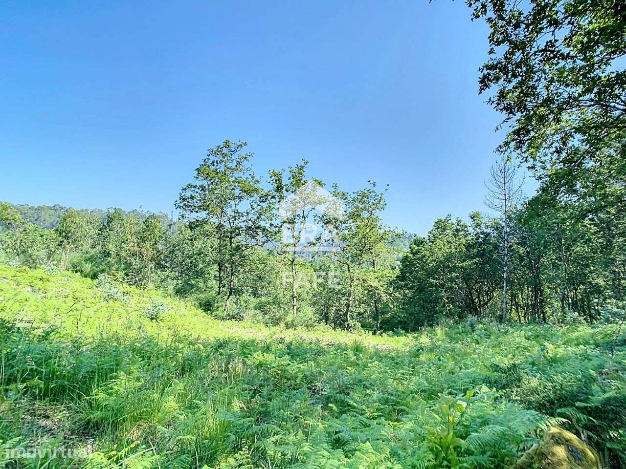 Terreno em Revelhe - Fafe - Grande imagem: 5/11