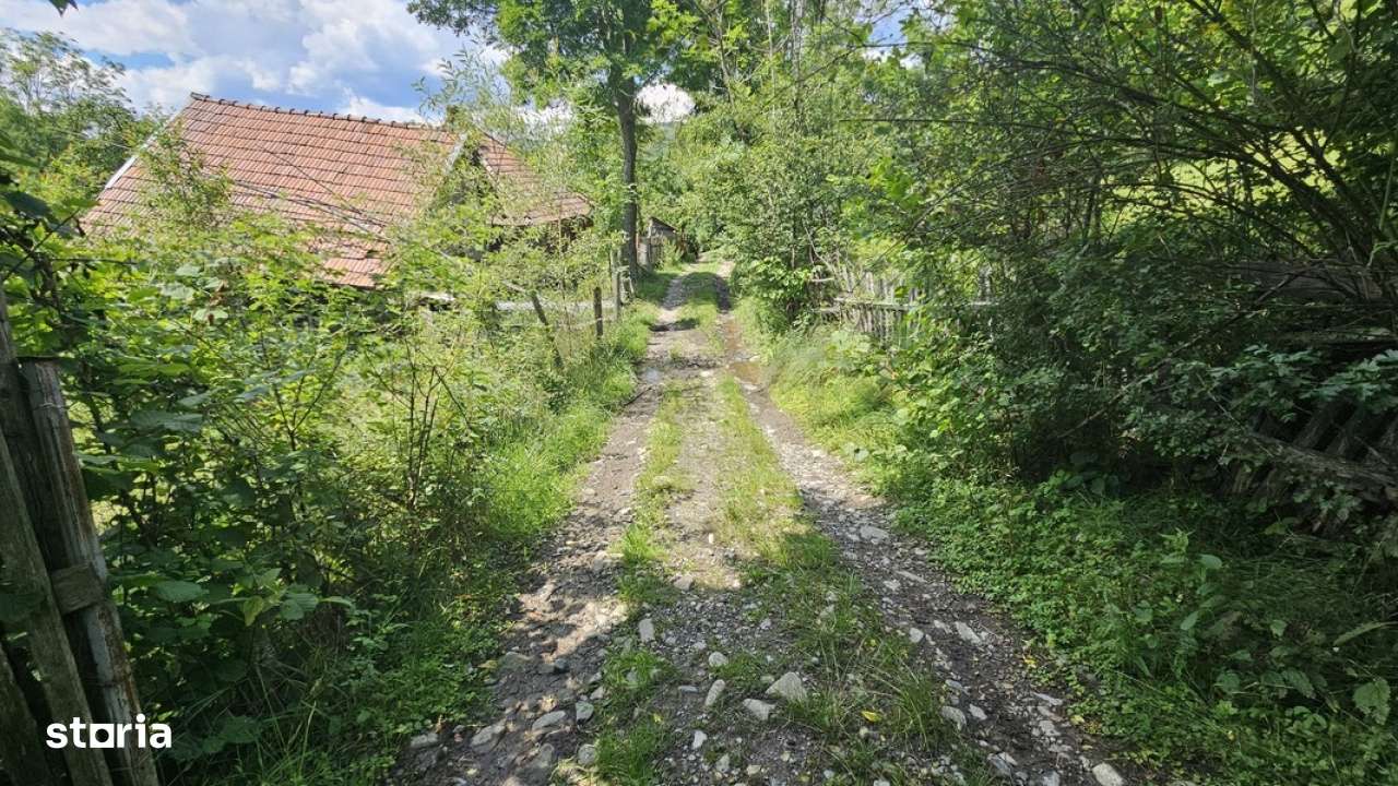 Teren de vanzare in Valea Doftanei - Imagine principală: 4/12