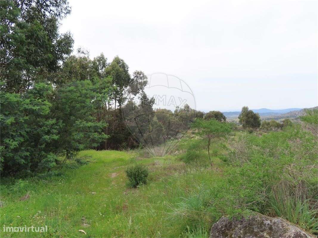 Quinta  para venda - Grande imagem: 2/28