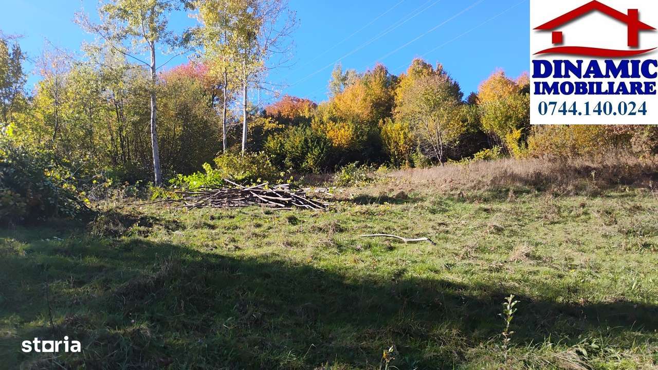 3600 mp teren intravilan, sat Bistrita, 16 Euro/mp-6