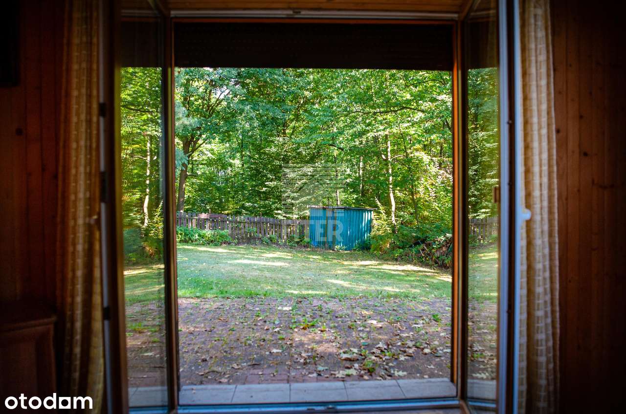 100 m2 dom w lesie...-7