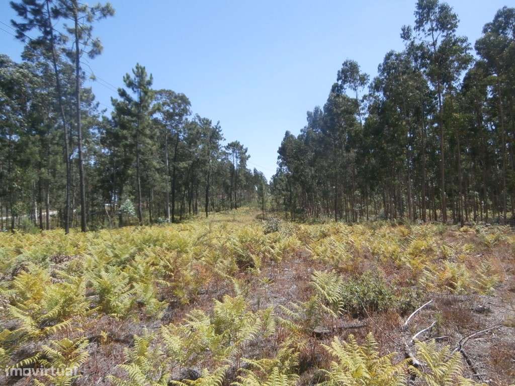 Terreno(s) para construção em Recardães (venda judicial - verba n.º... - Grande imagem: 5/8