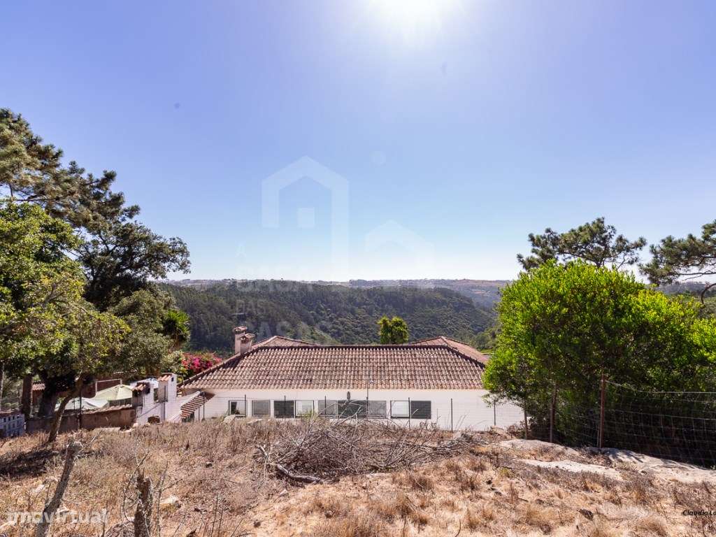 Vende Moradia T5 - Ericeira 8 km, A Casa das Casas - Grande imagem: 3/49