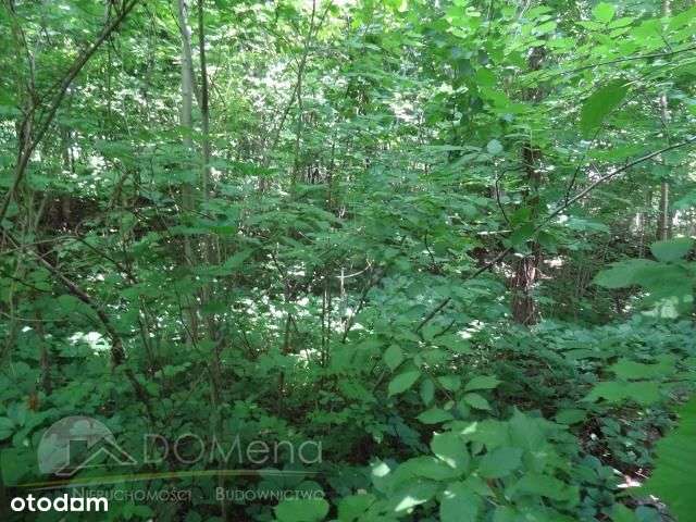 Działka, 27 100 m², Hucisko-3