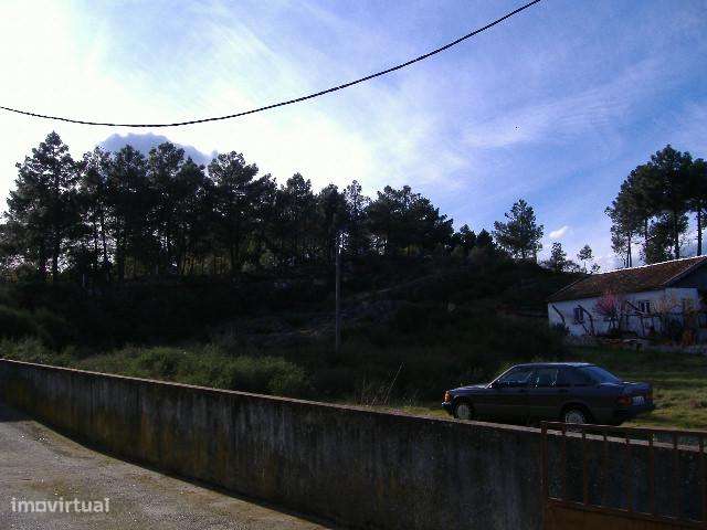 Chaves Casas dos Montes - Grande imagem: 5/7