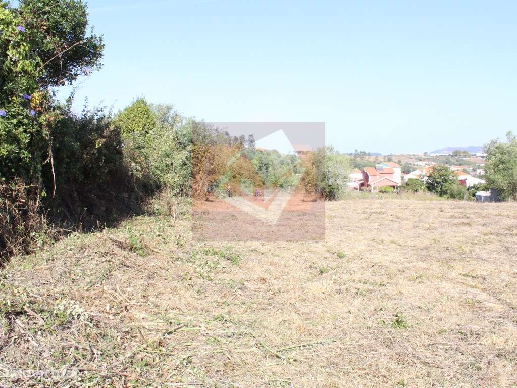 Terreno Rústico em Albogas-2