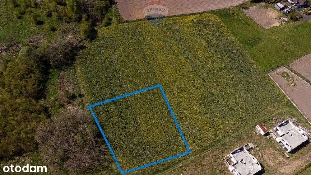 Działka Budowlana Czarków/Pszczyny - Pełny obrazek: 4/8