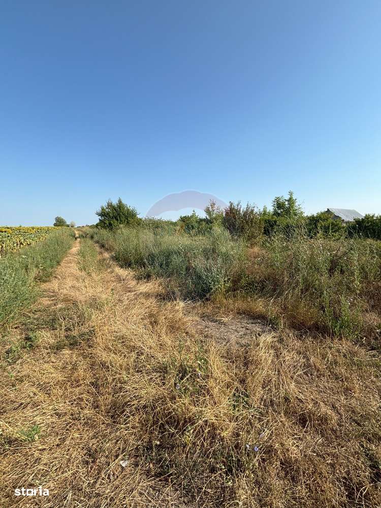 Teren Tartasesti langa complex Buna Ziua - Imagine principală: 5/5