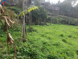 Moradia com Terreno em Lorvão, Penacova - Grande imagem: 4/32