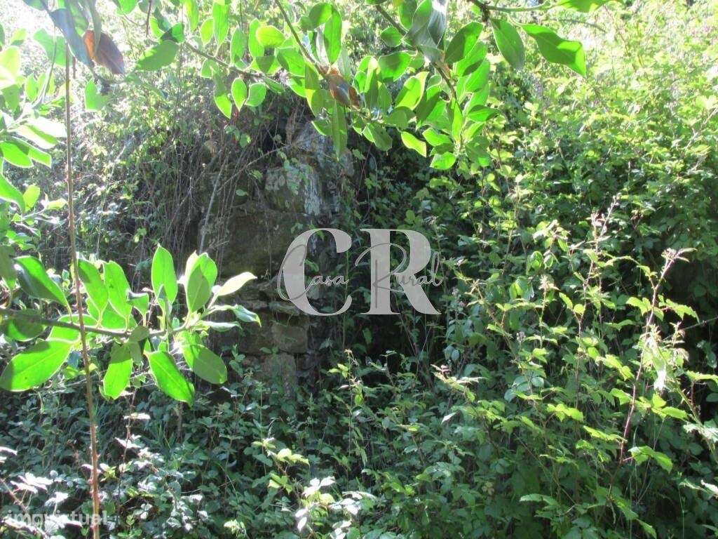 Ruina com Terreno em Vila Nova de Poiares na Central de Portugal - Grande imagem: 5/15
