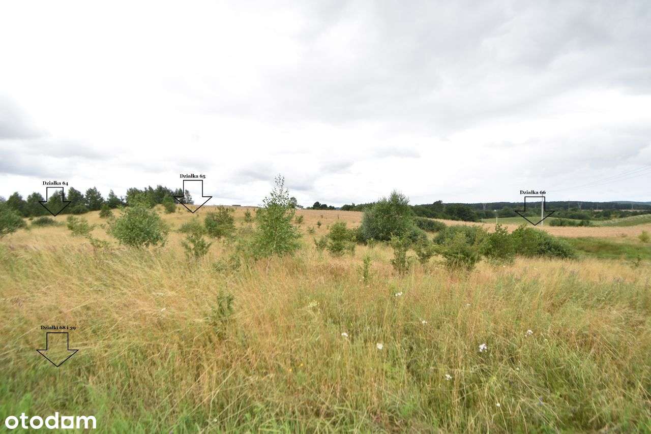 24 działki WIELE OPCJI płaski teren-8