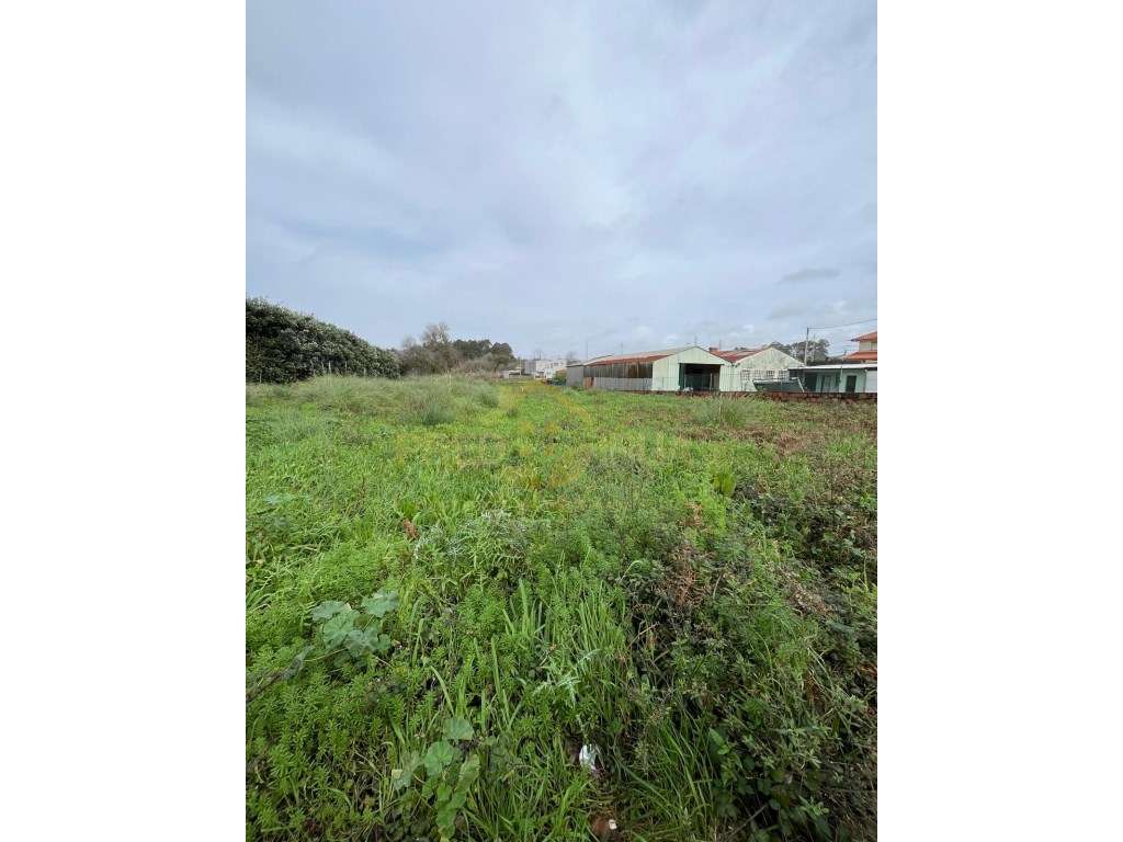 TERRENO PARA CONSTRUÇÃO DE MORADIA COM 1.970 METROS 
 SERZEDO-5