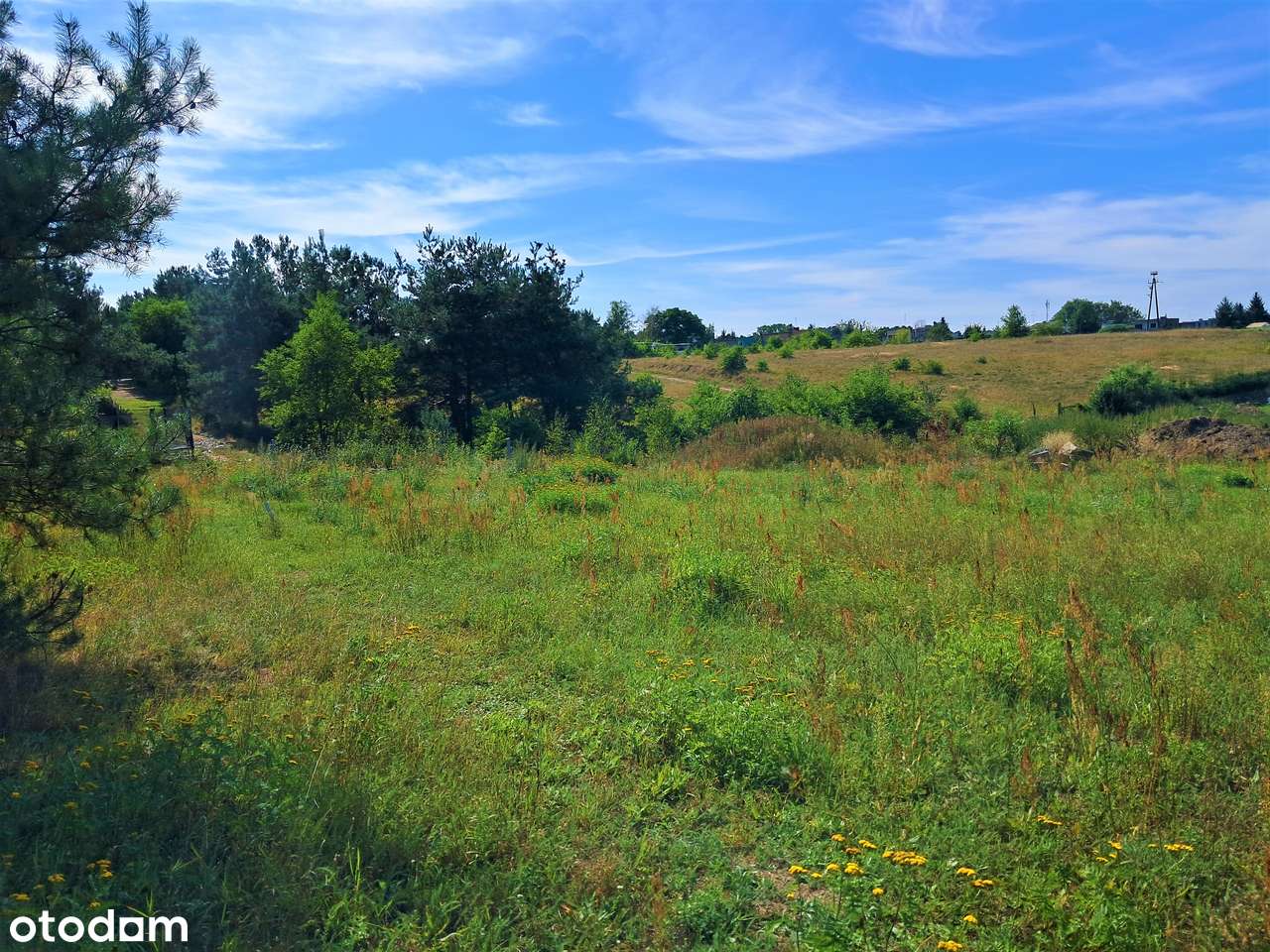 Działka w Obrzycku w pobliżu rzeki i lasu - Pełny obrazek: 5/10