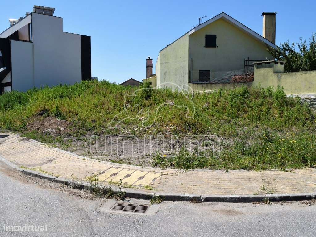 Lote Areosa - Grande imagem: 3/4