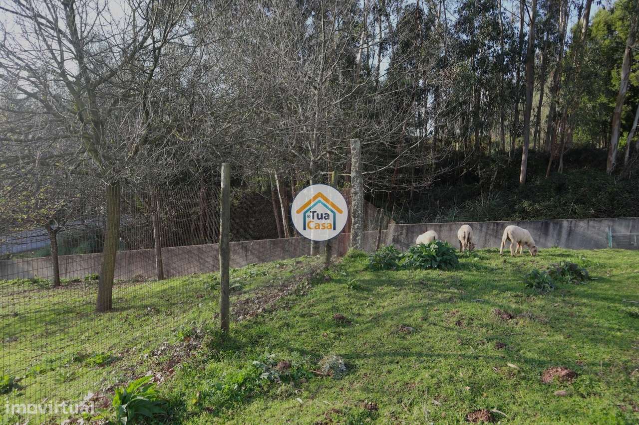 Terreno em Calendário com Viabilidade de Construção - Grande imagem: 5/16