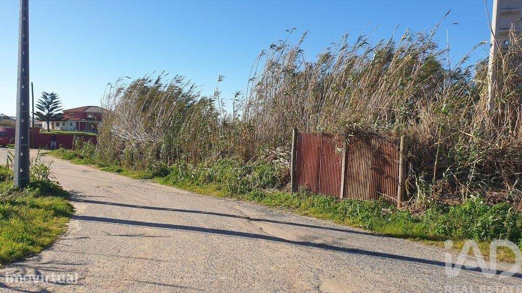 Terreno em Ferrel de 1200,00 m2 - Grande imagem: 4/8