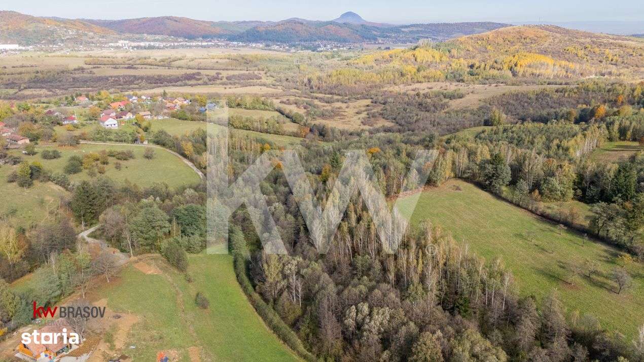 Vanzare teren intravilan 37723 mp Zarnesti Tohanita - Imagine principală: 5/17