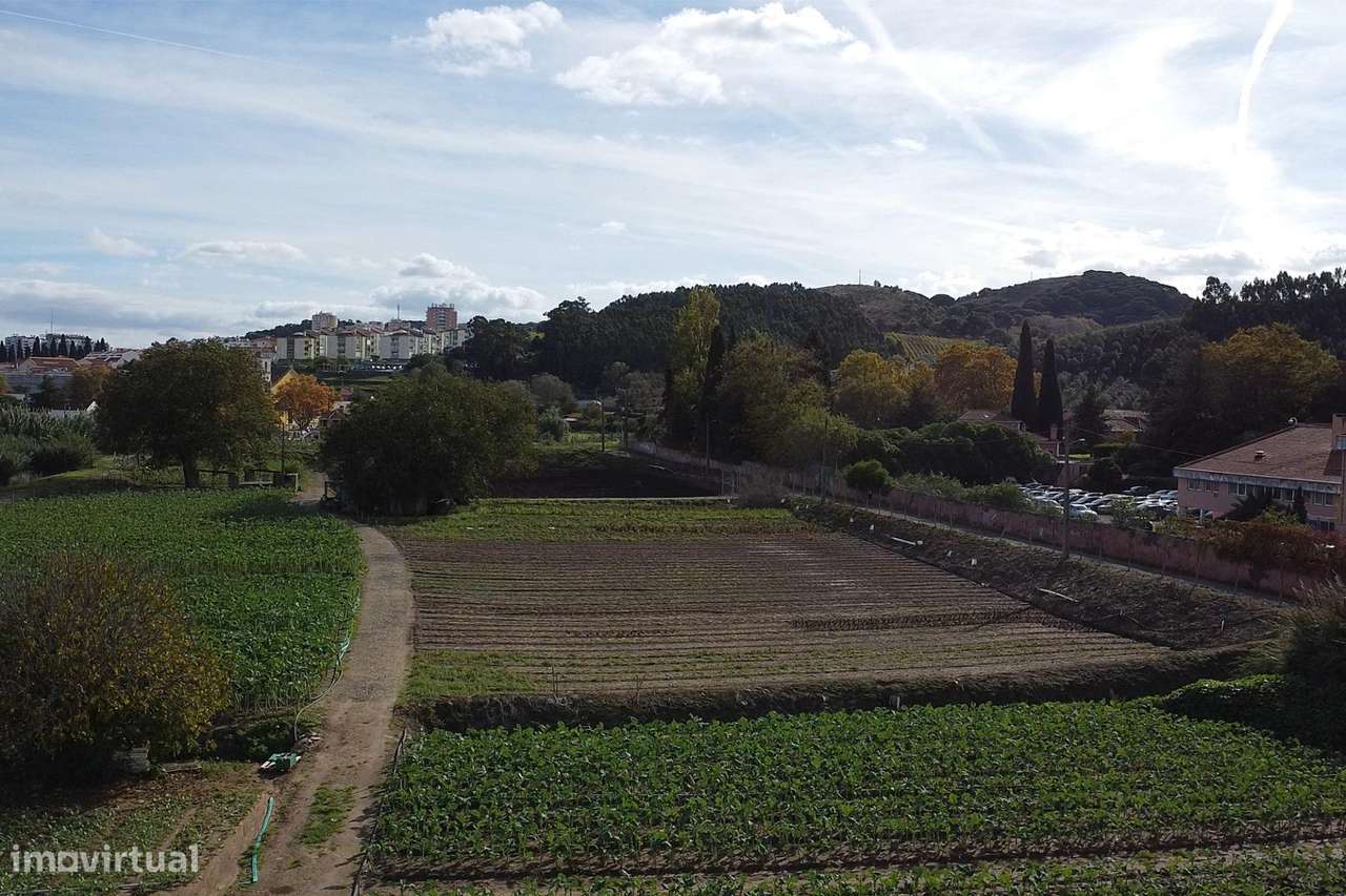 A Quinta da Repina, 18 660 m2 em cidade, no Barro em Loures-24