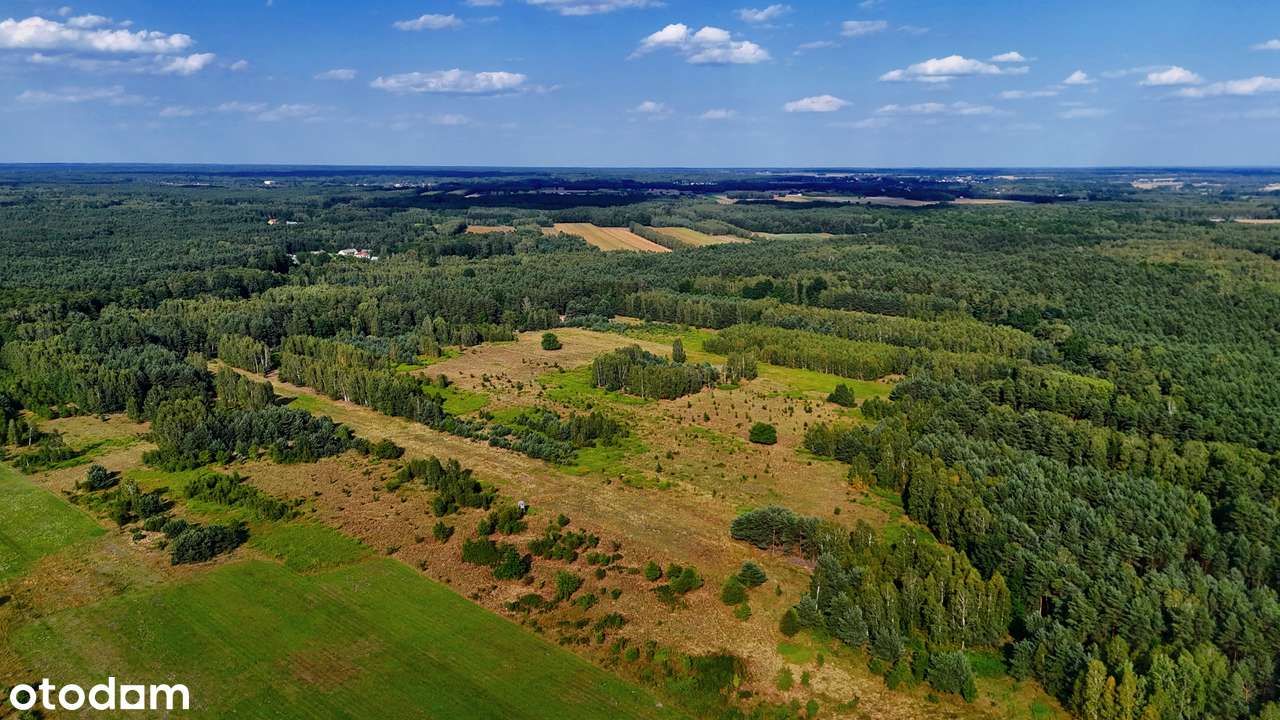 Działki budowlane pod lasem 1000m2-5