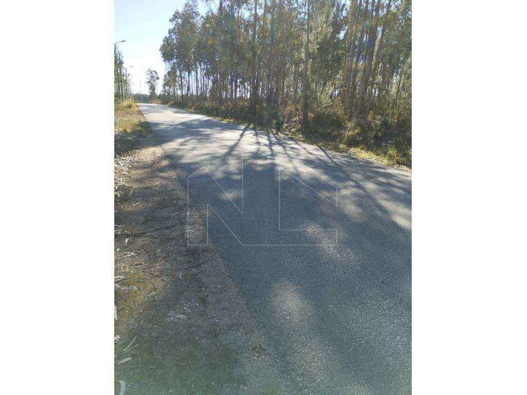 Terreno a 3 minutos de Águeda - Grande imagem: 5/7