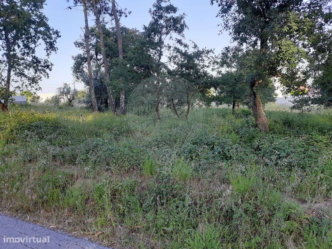 Terreno  para venda - Grande imagem: 4/4