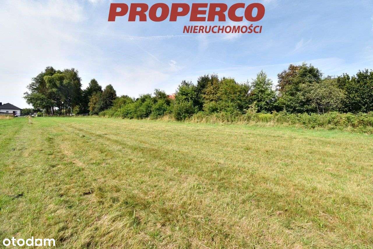 Działka pod Kielcami z Mpzp, 9051 m2, Radlin,Górno - Pełny obrazek: 5/6