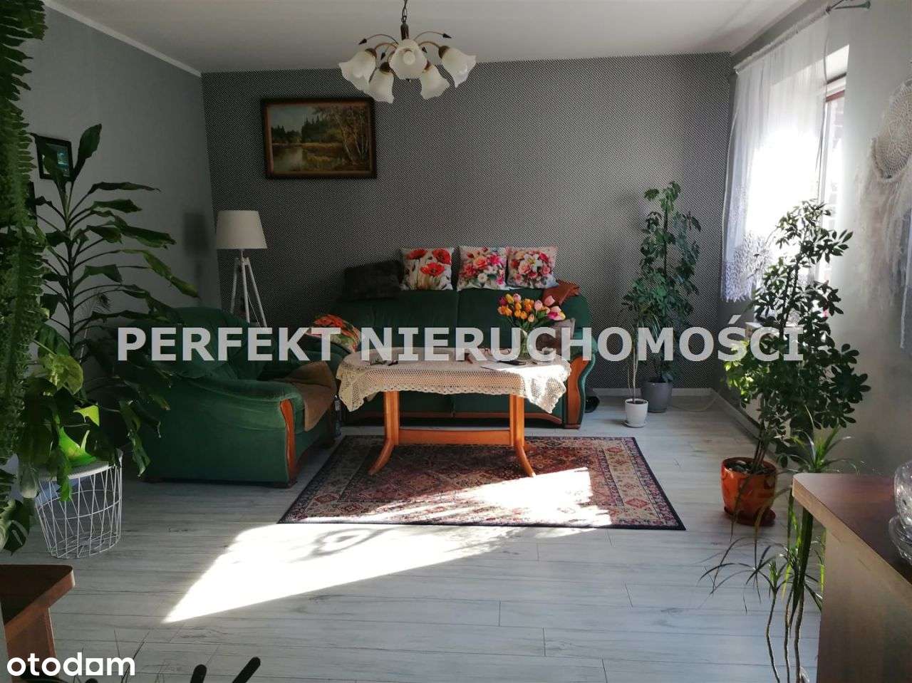 Dom poniemiecki 10 minut od Żar-0