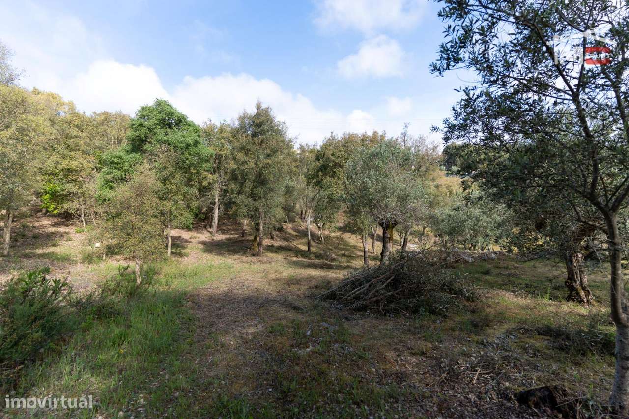 Terreno Rústico, Atouguia - Grande imagem: 5/15