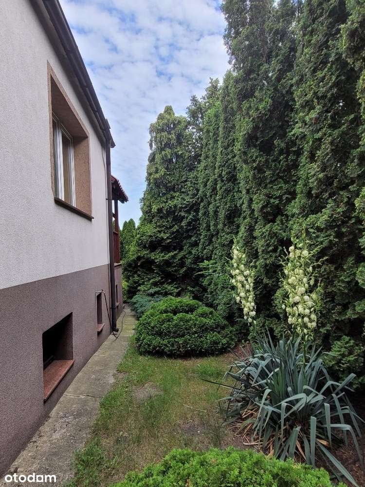 Dom w pobliżu rzeki otoczony zielenią nawet zimą - Pełny obrazek: 5/18