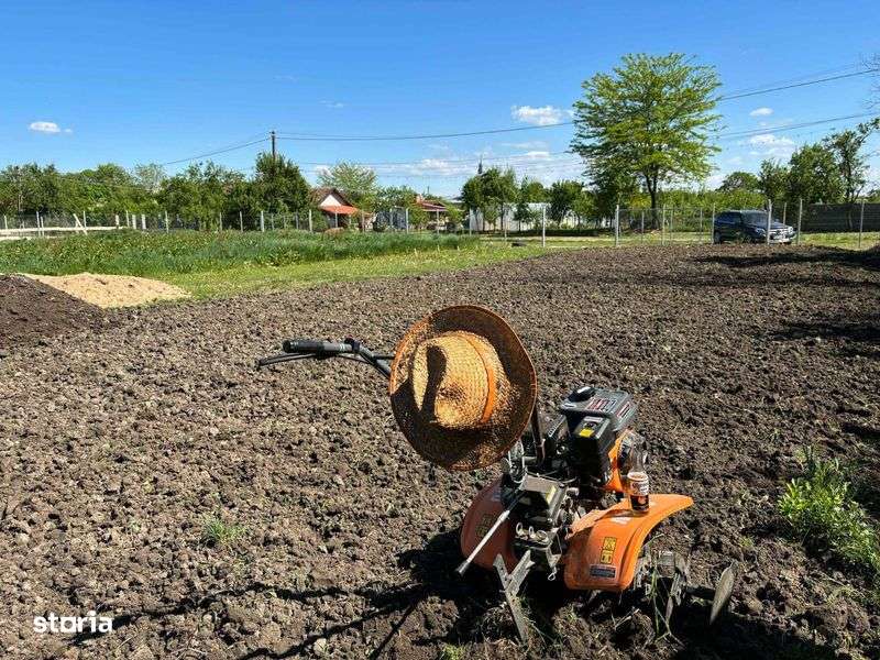 Teren Intravilan cu anexe - Icloda - Imagine principală: 4/6