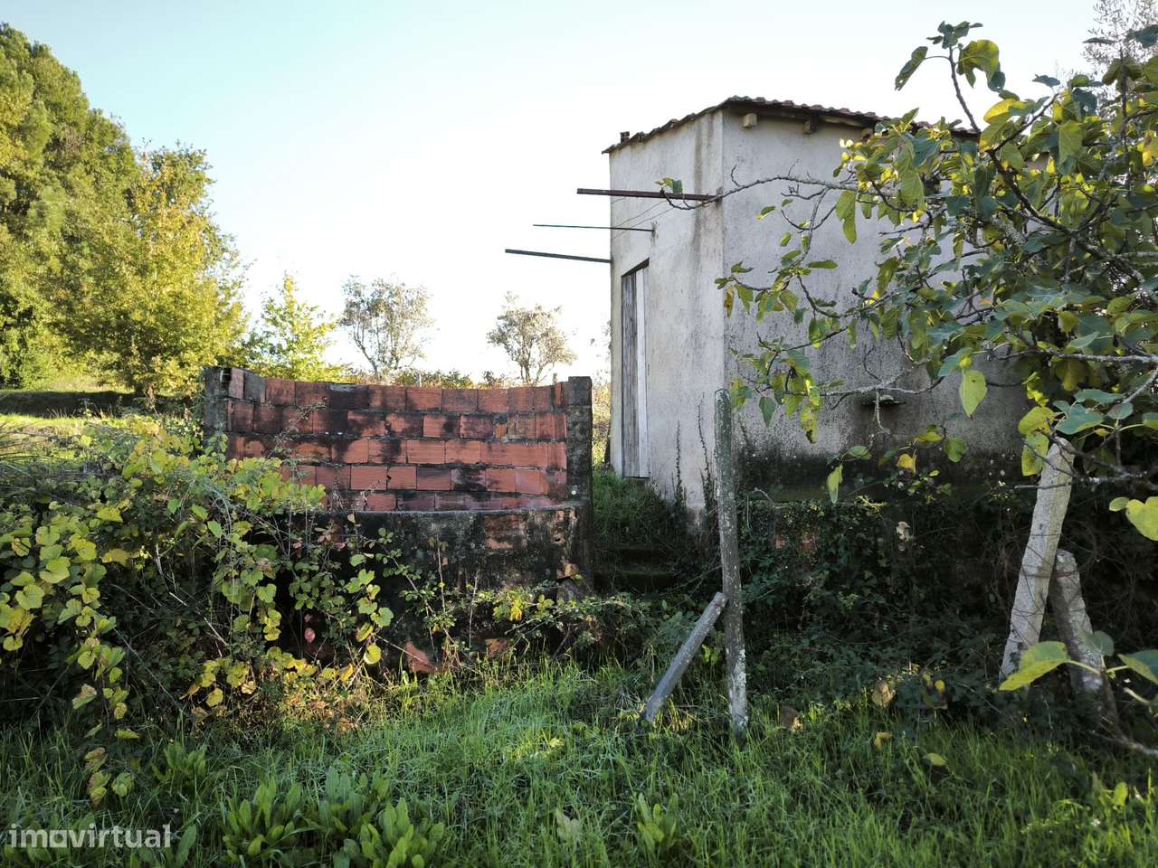 Terreno  Venda em Oliveira do Conde,Carregal do Sal-7