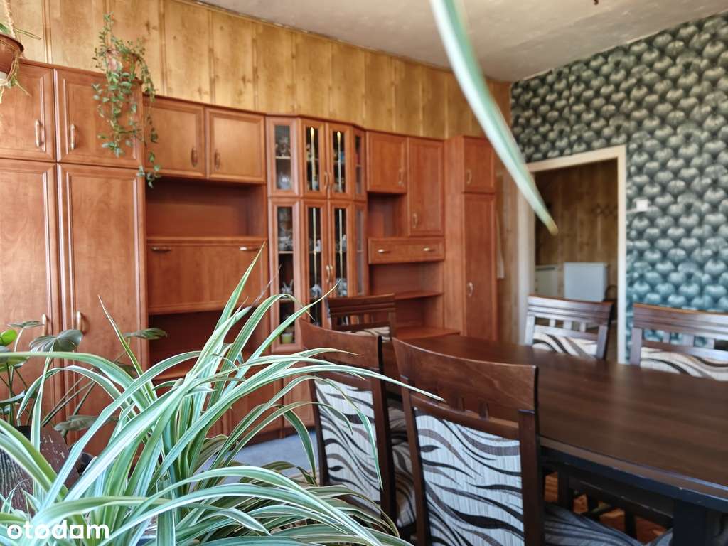 Duże mieszkanie 105 m2 - Jelenino - Pełny obrazek: 4/19