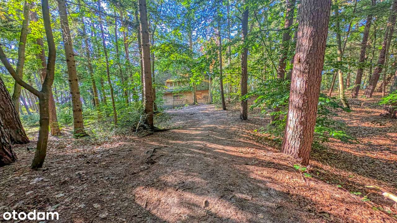 Legendarny dom nad morzem w Pobierowie – tylko 50 metrów od plaży!-7