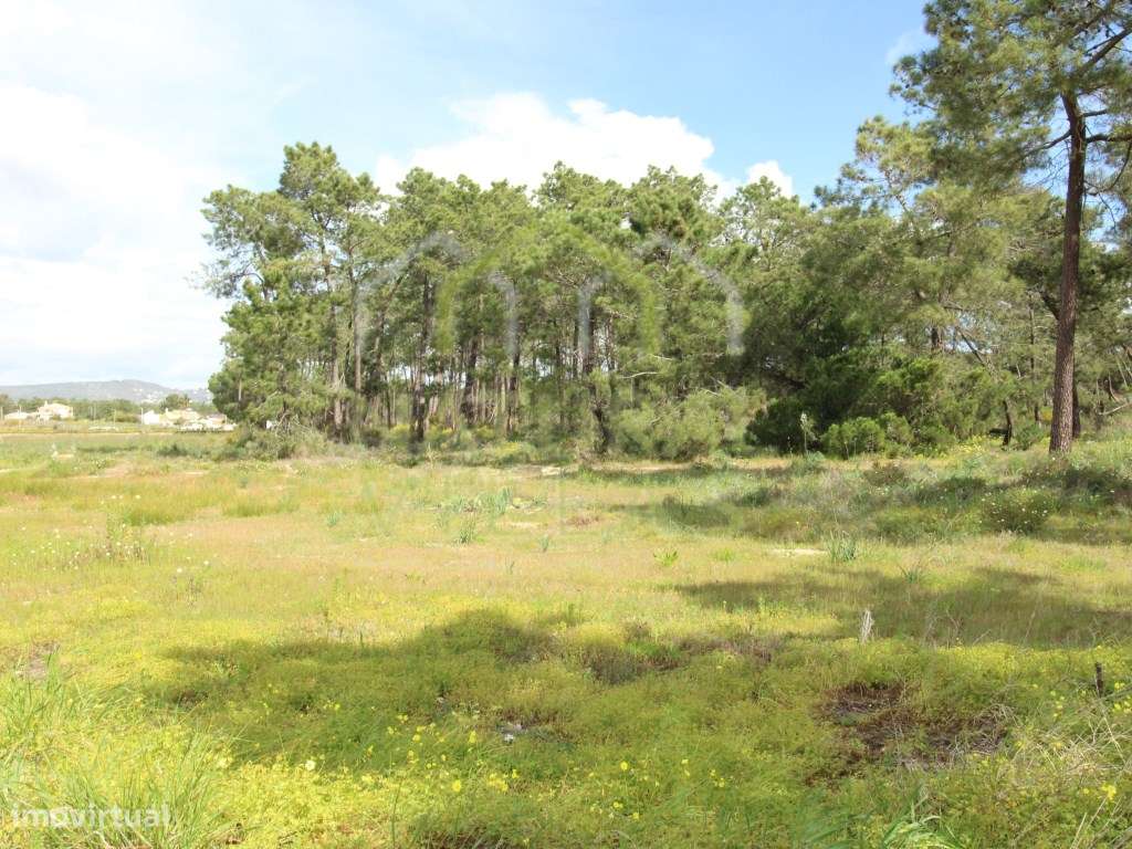 Terreno de Grande Potencial em Gambelas, Algarve: Oportunidade Únic... - Grande imagem: 3/15