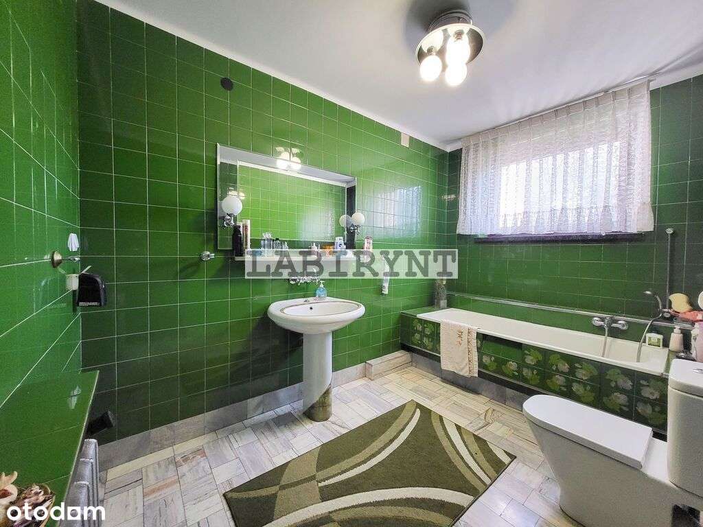 Dom 215m2 + warsztat blacharsko-lakierniczy 219m2-17