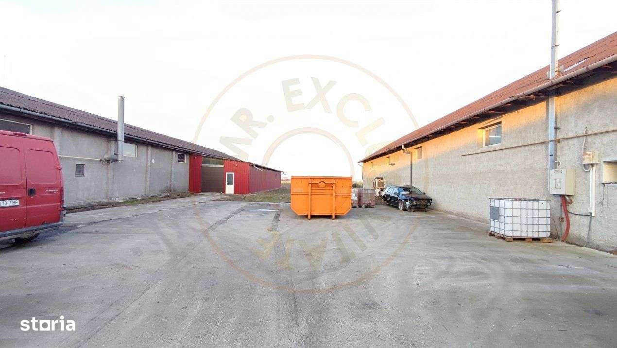 De Vanzare / Inchiriere 2 Hale Productie 978 mp- Carei - Comision 0% c - Imagine principală: 4/19