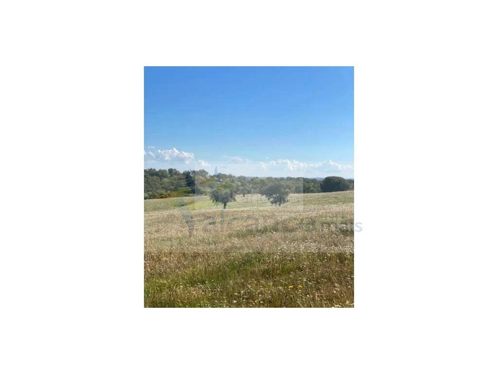 Propriedade com 6,625 hectares em Serpa / Baixo Alentejo - Grande imagem: 4/15