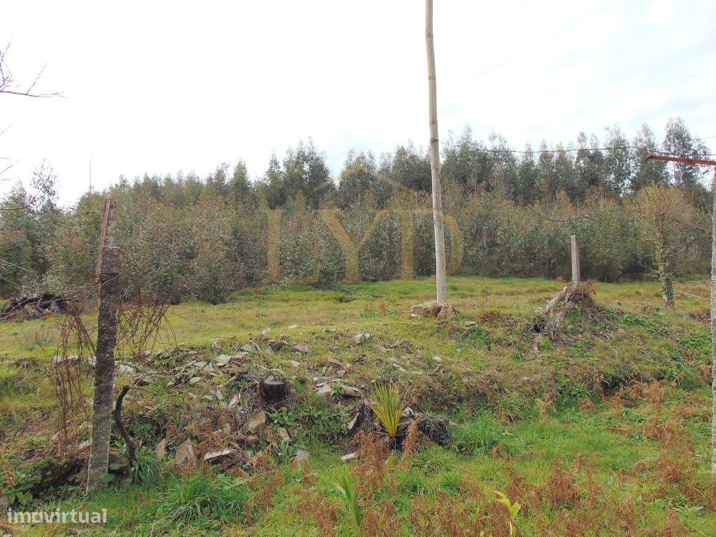 Quinta em Nogueira Paraíso Castelo de Paiva-24