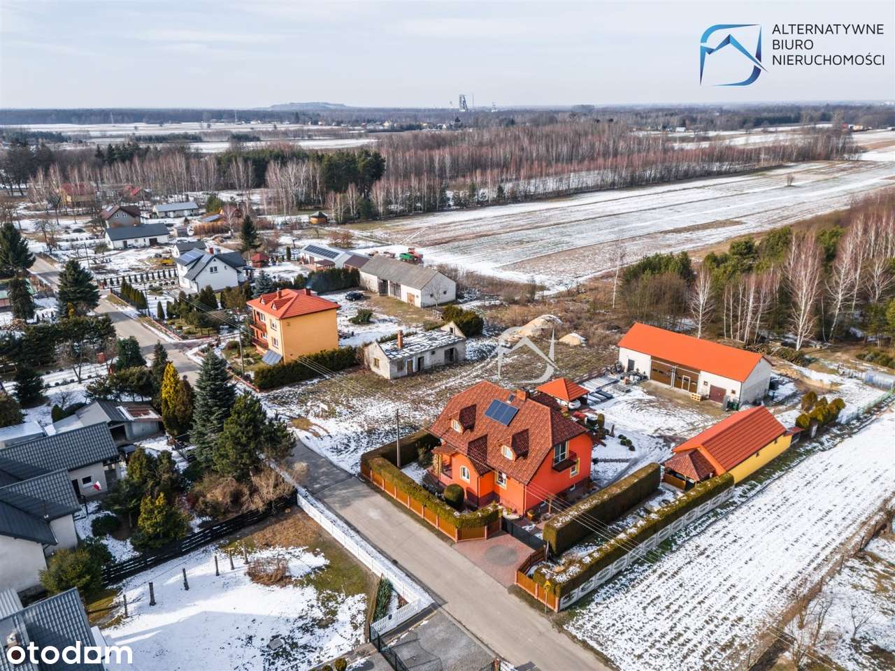 Ładna działka z budynkiem gosp. - Albertów - Pełny obrazek: 4/12