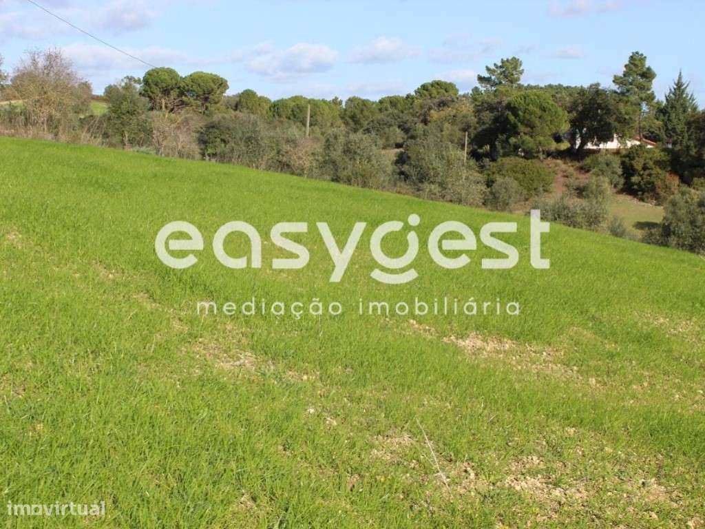 Terreno Rústico com 7520m2 em Valongo - Grande imagem: 2/9